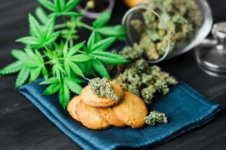 Cannabis cookies stacked on a blue cloth with marijuana buds and leaves in the background on a dark surface.